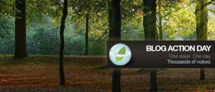 5 innovative environmental business ideas