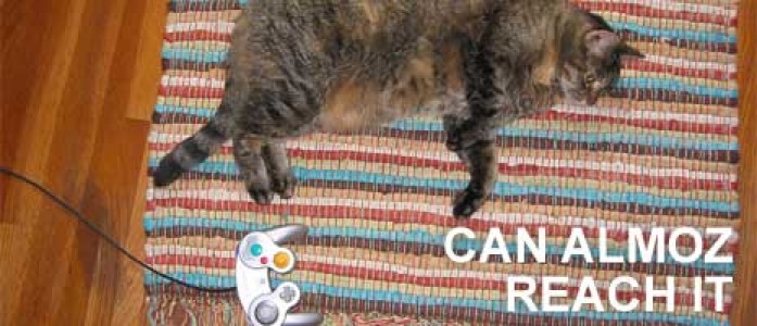 Oh, the Old Gray Mare, She Ain’t What She Used To Be